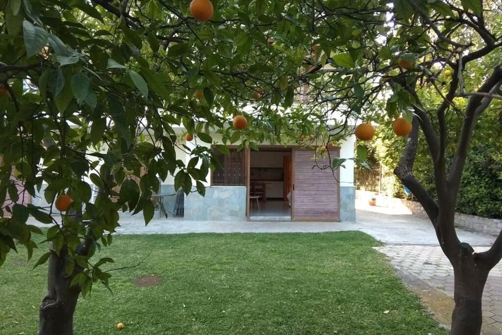 Electra Apartment In Epidaurus 外观 照片