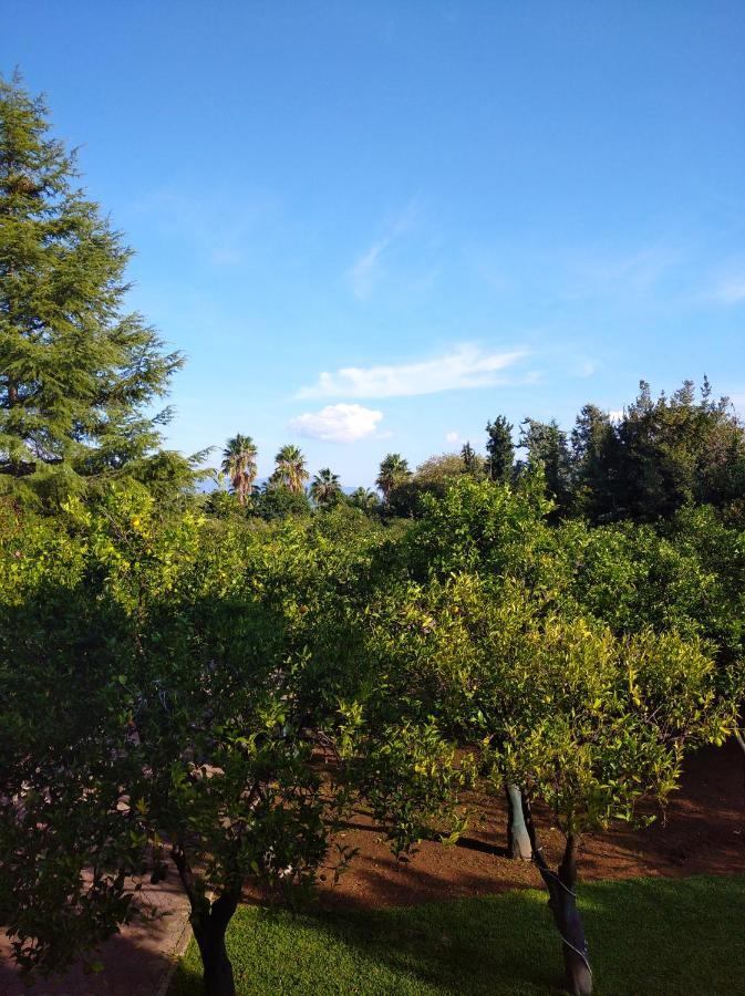 Electra Apartment In Epidaurus 外观 照片